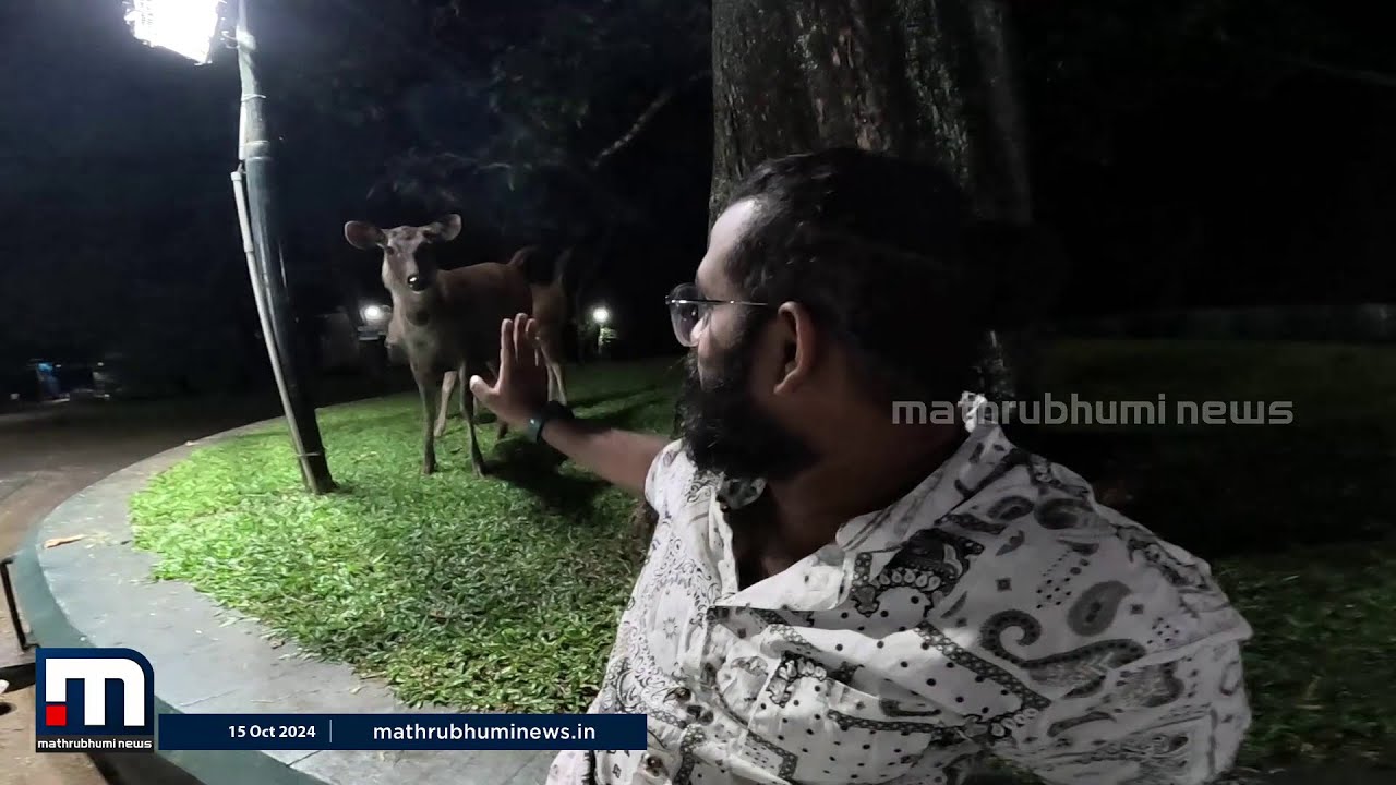 തൊട്ടടുത്ത് മാനും പോത്തും മുള്ളന്‍പന്നിയും..തേക്കടിയിലെ മനോഹരക്കാഴ്ചകള്‍ | Thekkadi