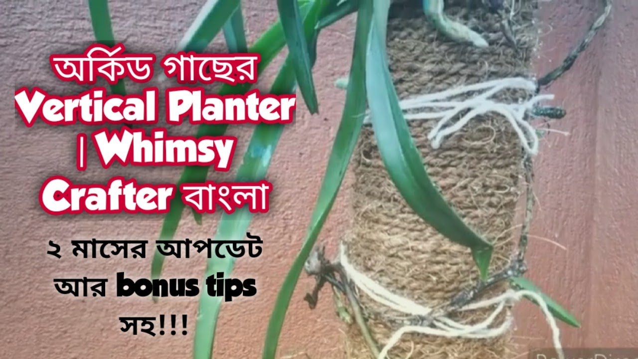অর্কিড গাছের Vertical Planter কিভাবে বানাবেন?। Orchid Vertical Planter Bengali |Whimsy Crafter বাংলা