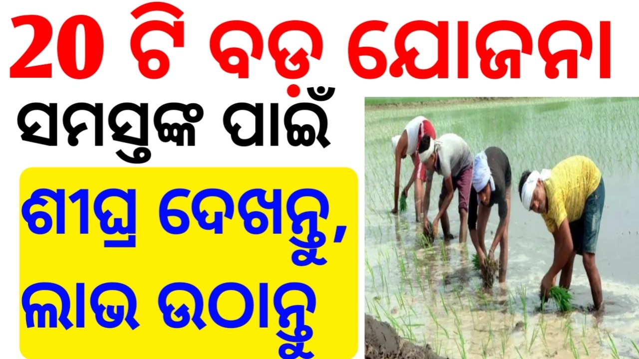 Top 20 Odisha Government Yojana 2026 &ndash; Complete List with Benefits & Eligibility | new yojana odisha