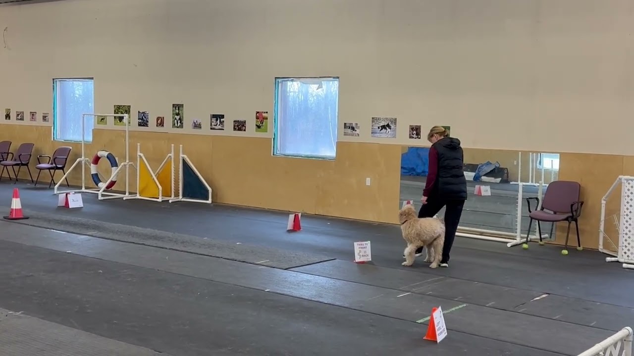 Rally Free Canada Regional Trial Feb.23/26. Level Champion. 