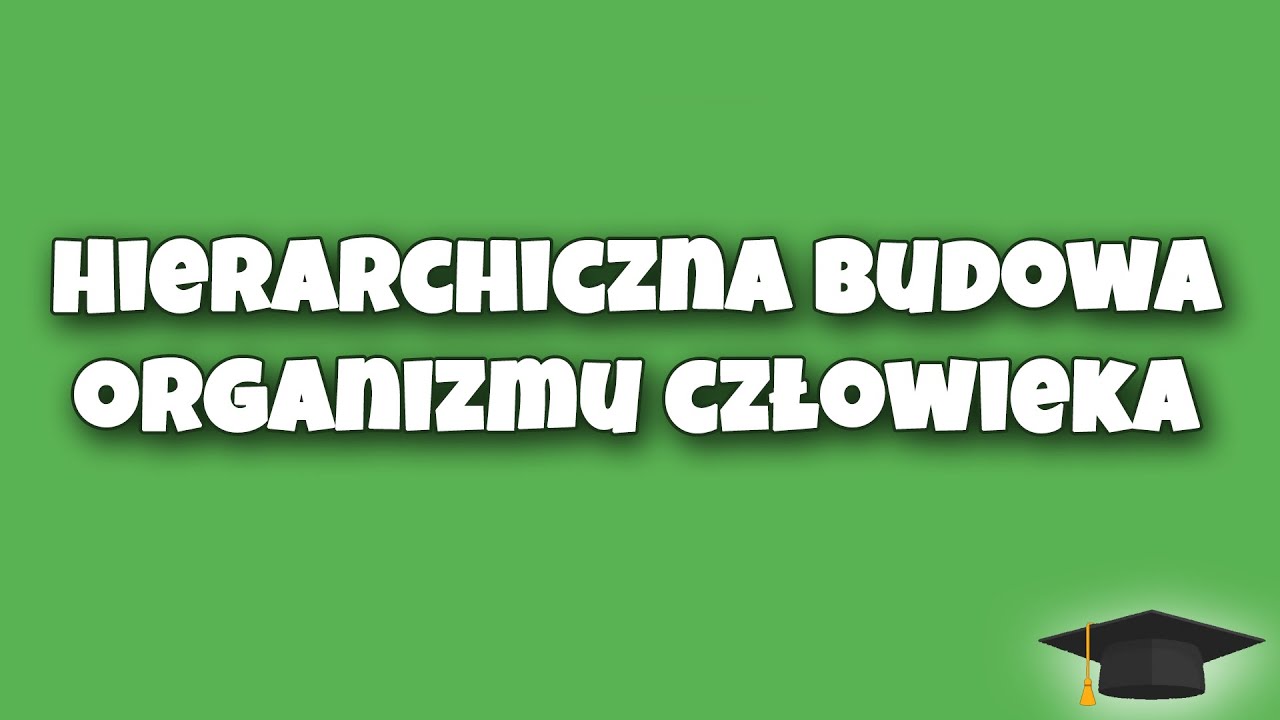 HIERARCHICZNA BUDOWA ORGANIZMU CZŁOWIEKA  | BIOLOGIA KLASA 2