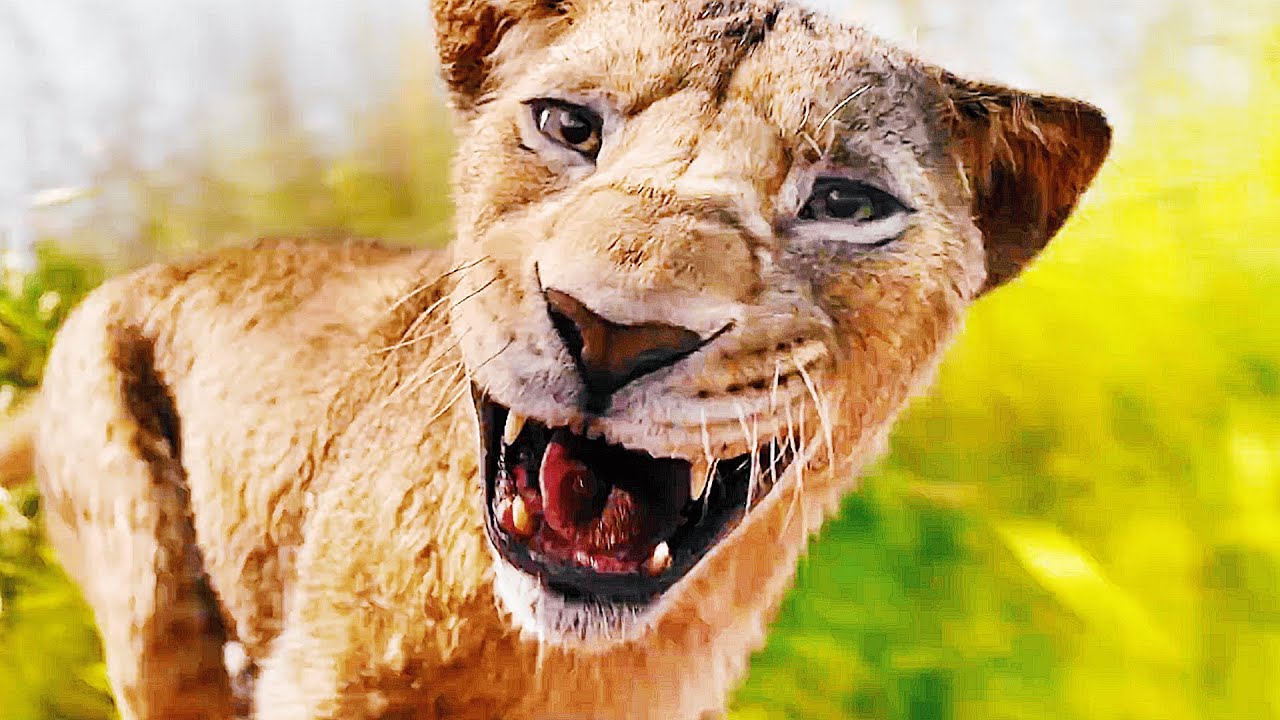 Mufasa Vs Taka Race Scene | MUFASA: THE LION KING (2024) Movie CLIP HD