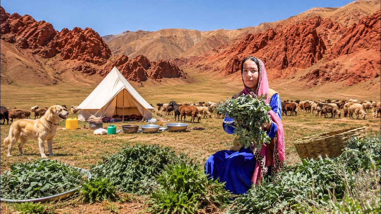 Harvesting Wild Vegetables from the Highest Mountains of Afghanistan | Cooking Village Style Food