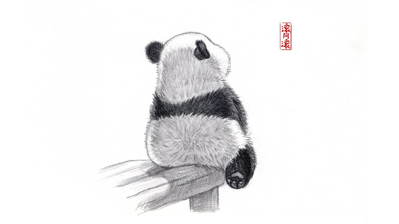 🐼✍️How to draw a lovely panda ？｜pencil sketch