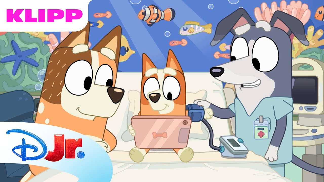 💙 En berättelse till Bingo | Bluey | Disney Junior Sverige
