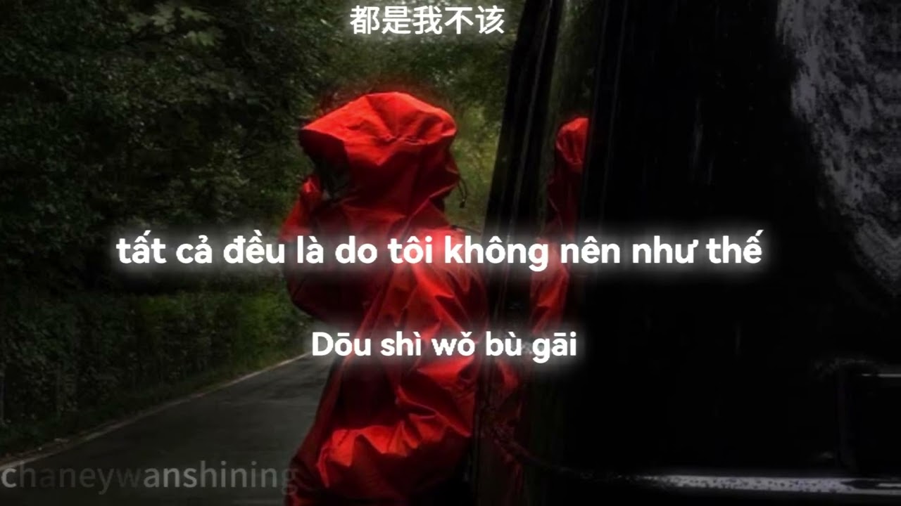 【vietsub-pinyin-lyrics】  【Xứng đáng 】 [ 该 - sea蕊 / 吴炳文]  [ Sea Nhuỵ- Ngô Bỉnh Văn]