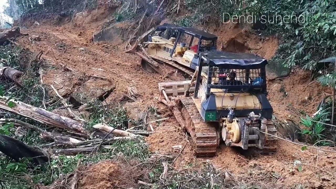 EXTREAM😱 2 BULLDOZER  D70 LE  MENARIK KAYU YANG SANGAT BESAR DAN PANJANG @dendisuhendi1381