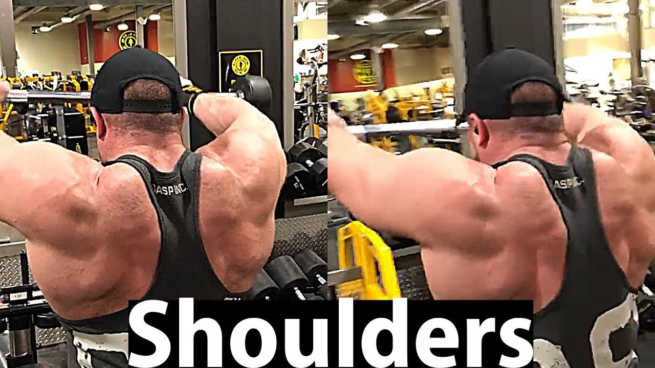 تمرين اكتاف وبطات  على جدول نيل هيل