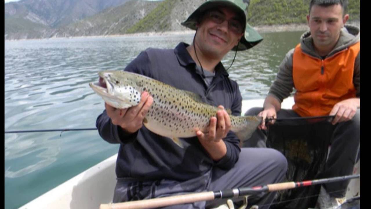 Pastrmka na Kozjak / Wild trout battle