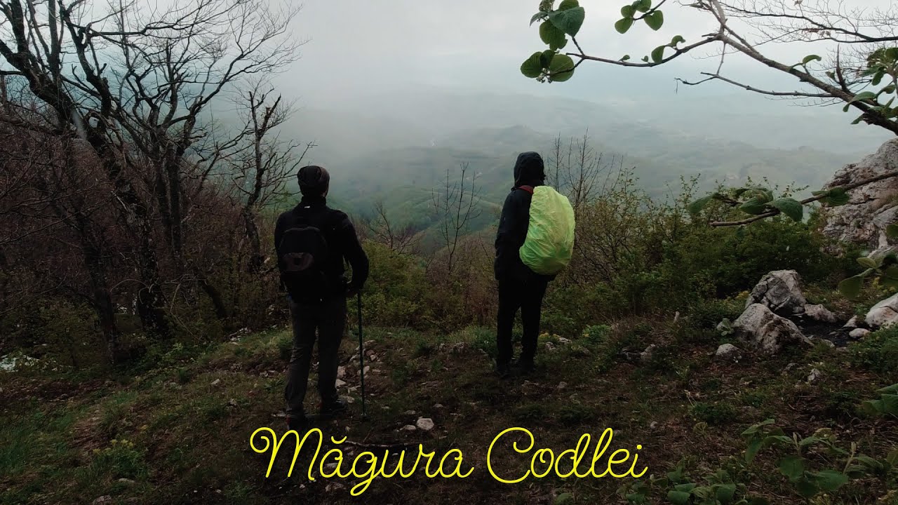 Perșani | Măgura Codlei este mică și rea
