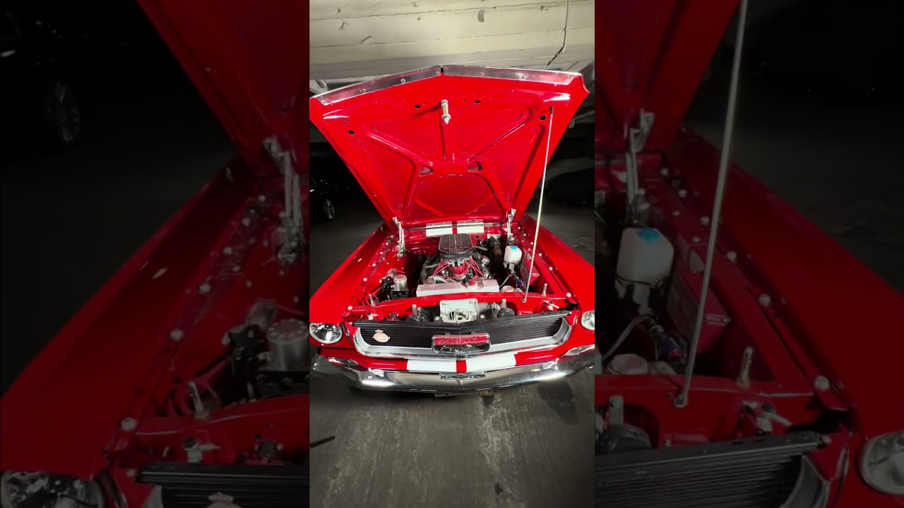 Ford Mustang 5,0 V8 Manual 1966 Prezentacja
