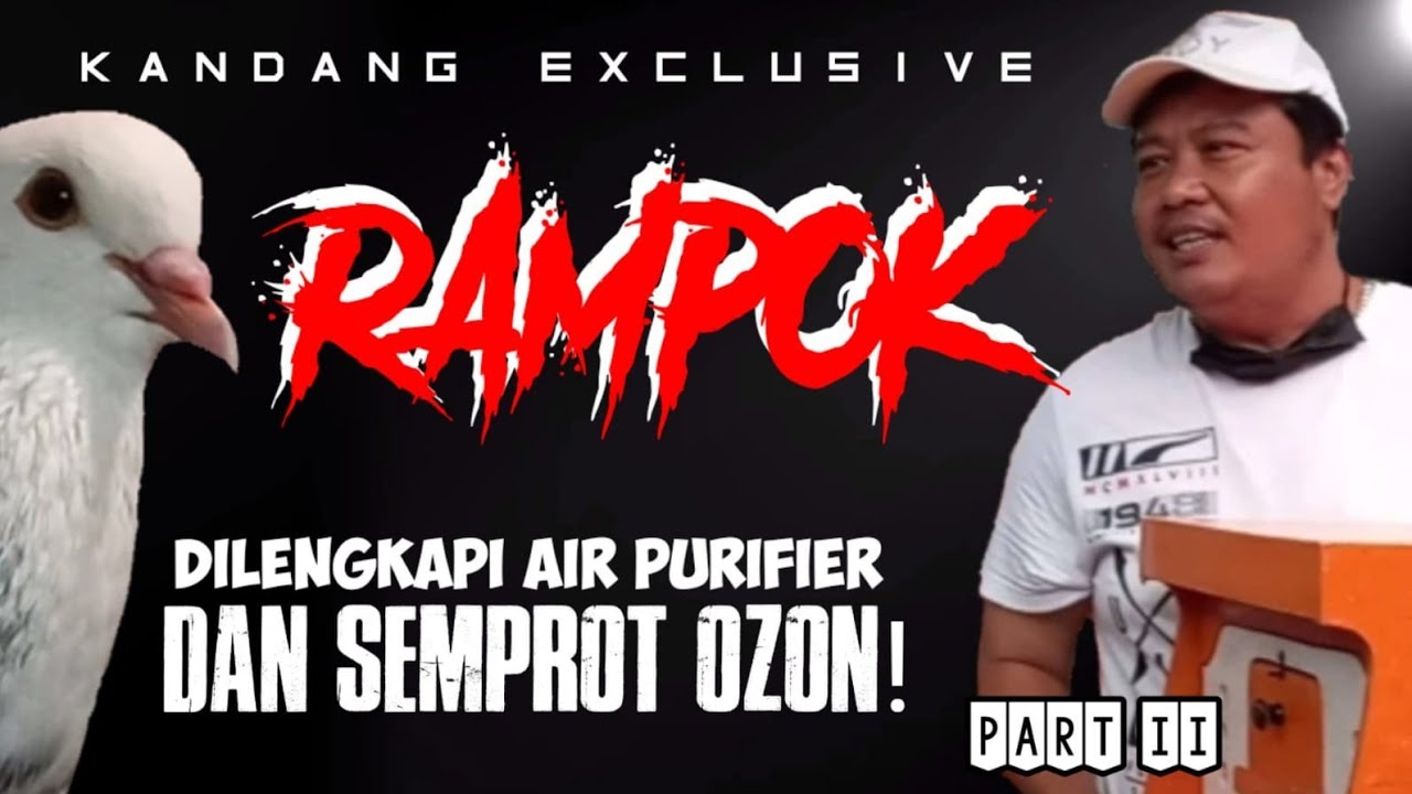 KANDANG EXCLUSIVE RAMPOK//MERPATI KOLONG//MERPATIKU//MERPATI LOVERST//NEW RAMPOK