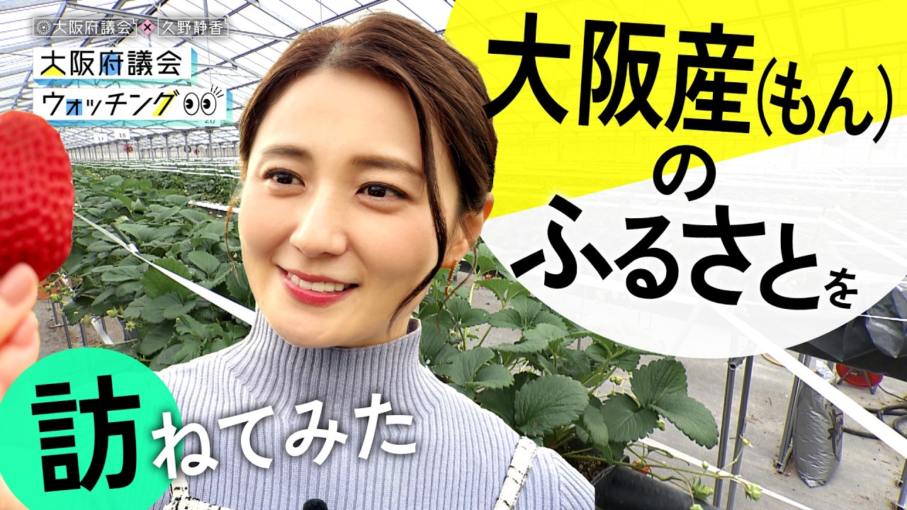 大阪府議会×久野静香 大阪府議会ウォッチング　「大阪産（もん）のふるさとを訪ねてみた」