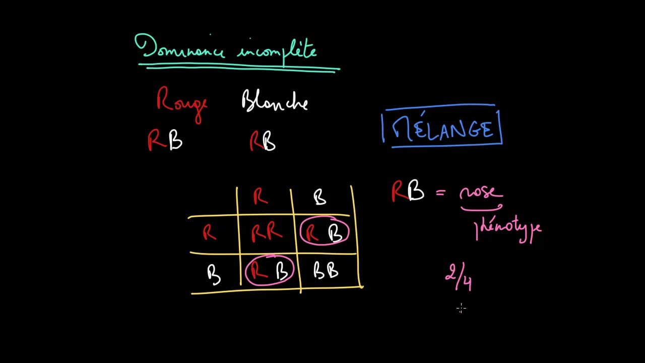 L'échiquier de Punnett : comment l'utiliser ?