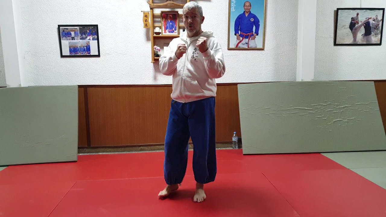 Tuto sur le Kamaete (la garde) au Nanbudo 😉👊👊👊