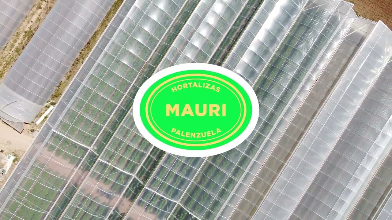 Hortalizas Mauri - Palenzuela