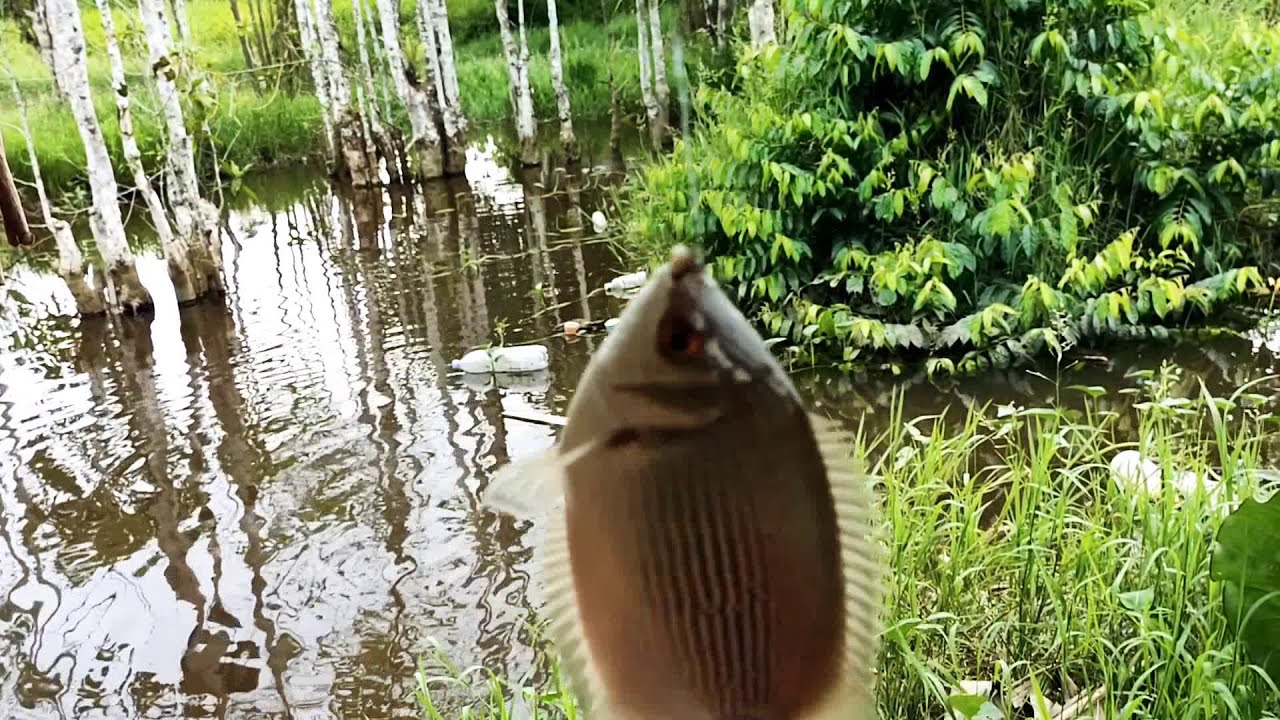 Cuma Spot ini Strike Tembakang Bertubi-tubi.