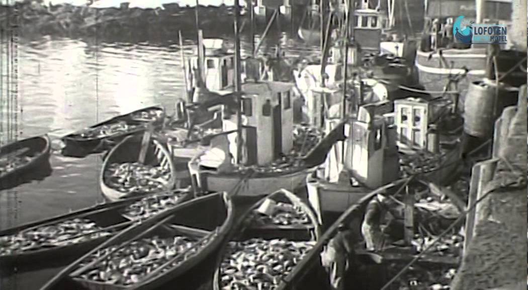 Lofotfisket i gamle dager / The Lofoten Fishery in the old days