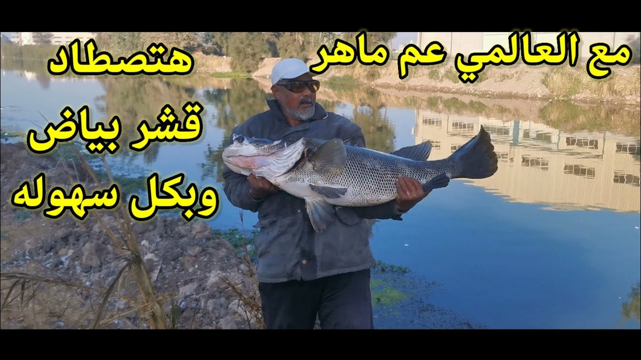كل مايخص صيد قشر البياض والعالمي عم ماهر ومفاجأه كبيره واحجام سمك خيالى#hook_fishing #fish