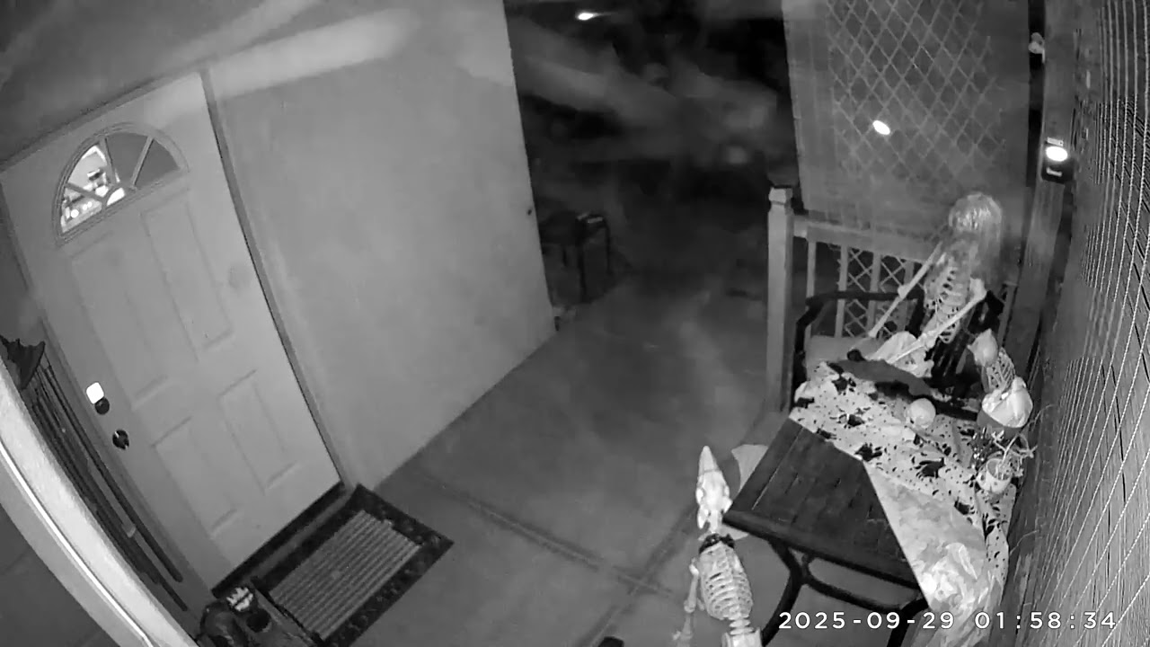 Dust Orbs Insects Whatever