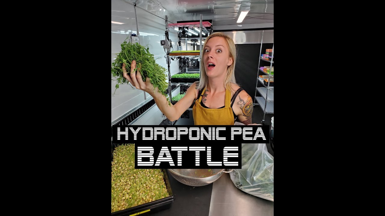 2 Liquid Nutrients on Yellow Pea Microgreens — Do Peas Even Need Them?