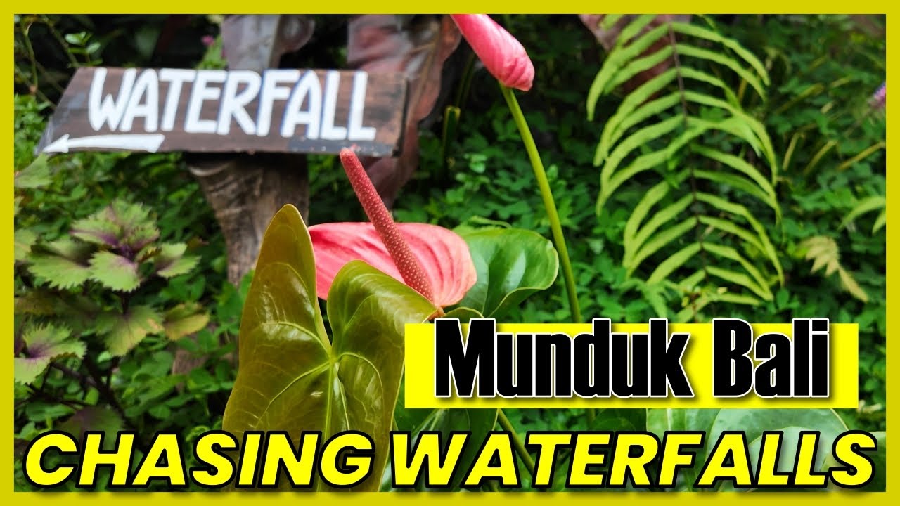 Trekking Waterfalls in Munduk North Bali