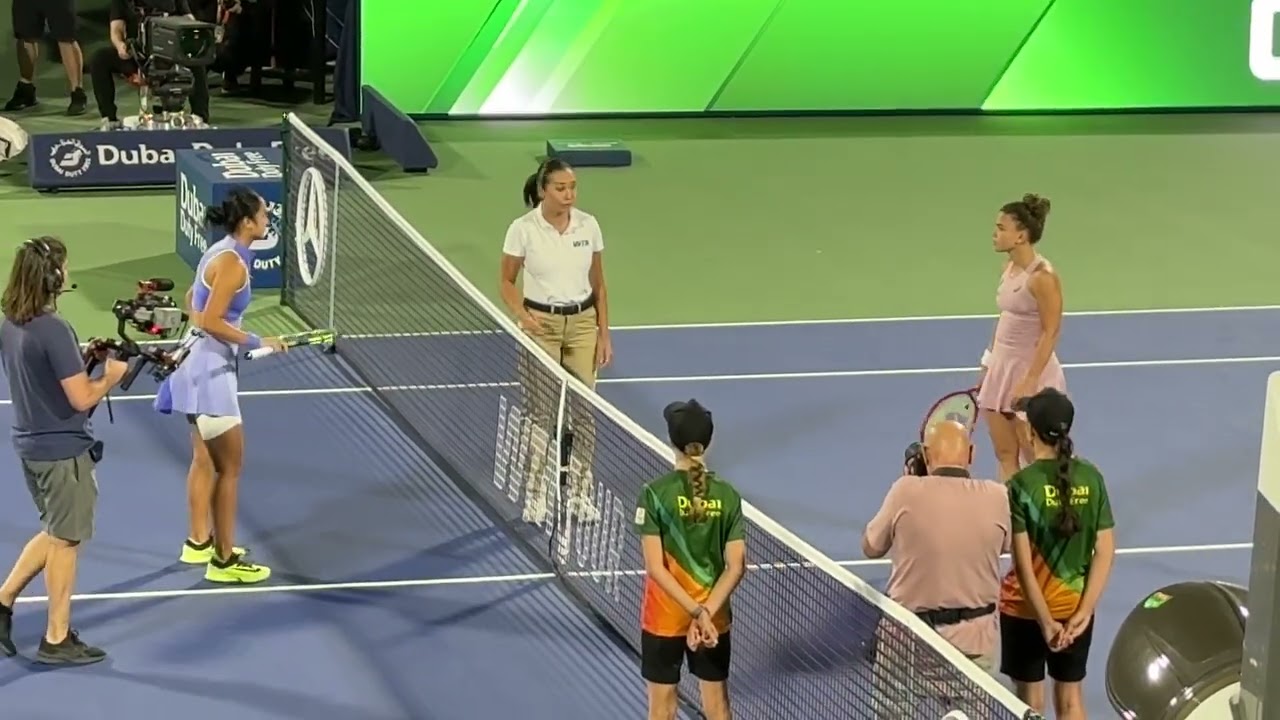 Alex vs Paolini