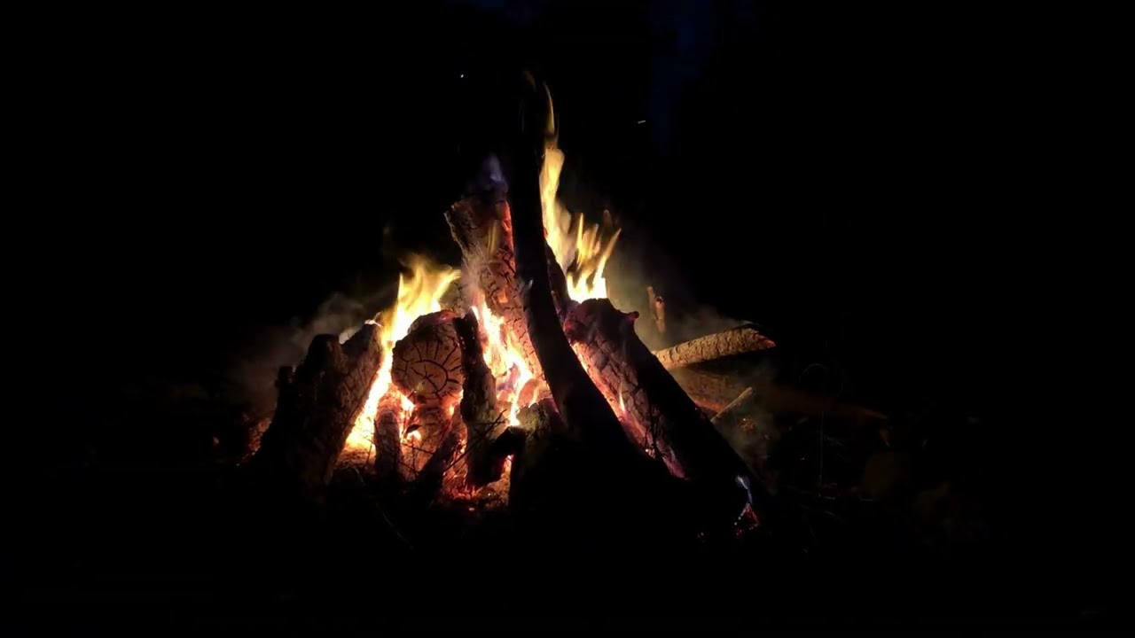 Sonidos naturaleza. Relajación.🔥Fuego. Hoguera. Bosque Chimenea. 8 horas.  [Daytime Forest Bonfire]