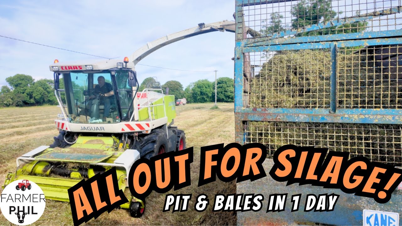 FULL ON SILAGE! CLAAS ROARS, FUSION WRAPS, AND RAIN IS COMING!