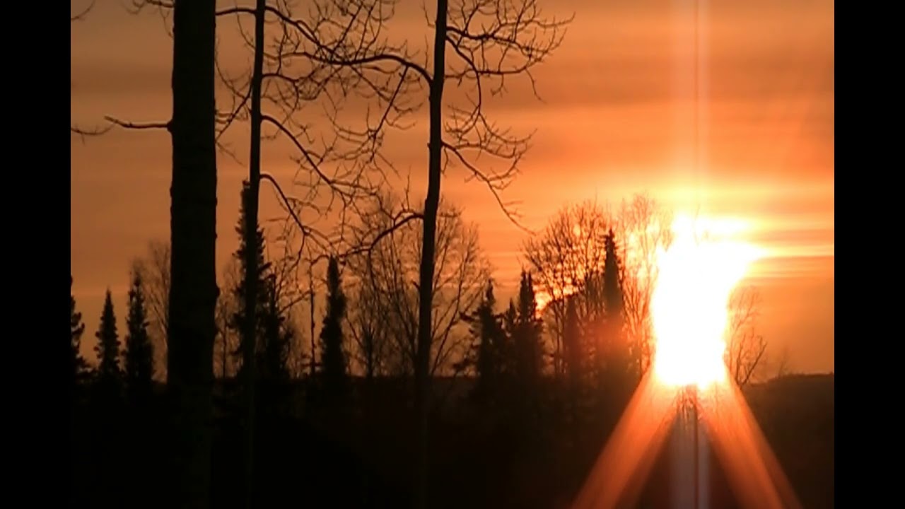 Ernie's Cabin   The Sun Still Loves You