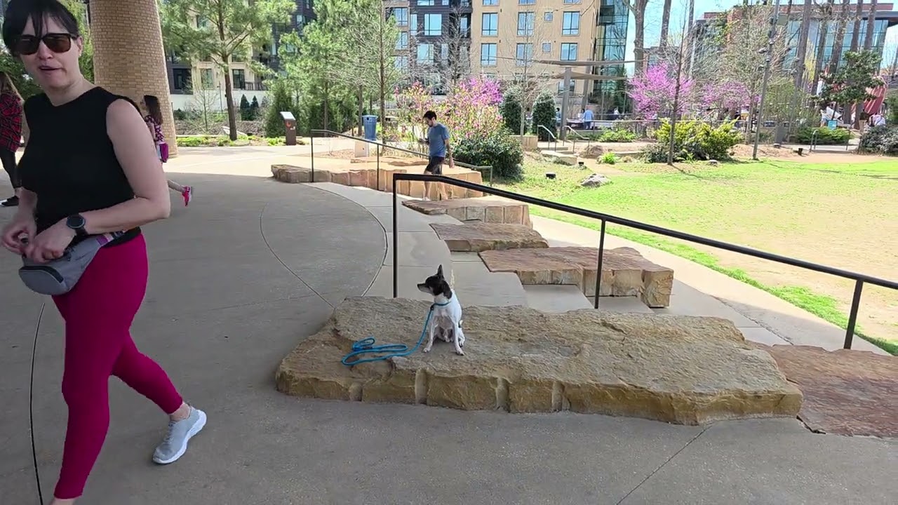 Mooshu at Downtown cary park