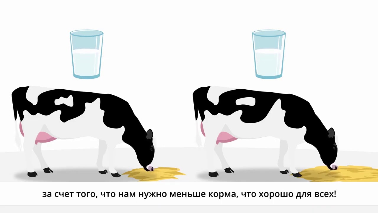 ИНДЕКС ECOFEED! ЭФФЕКТИВНАЯ КОНВЕРСИЯ КОРМА!
