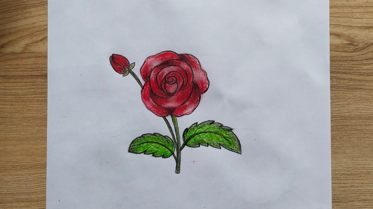 How to draw a Rose drawing step by step drawing tutorial 