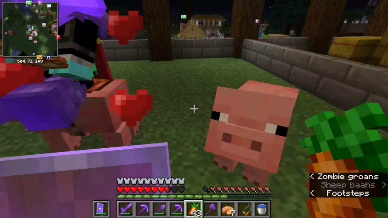 Minecraft and profanity 