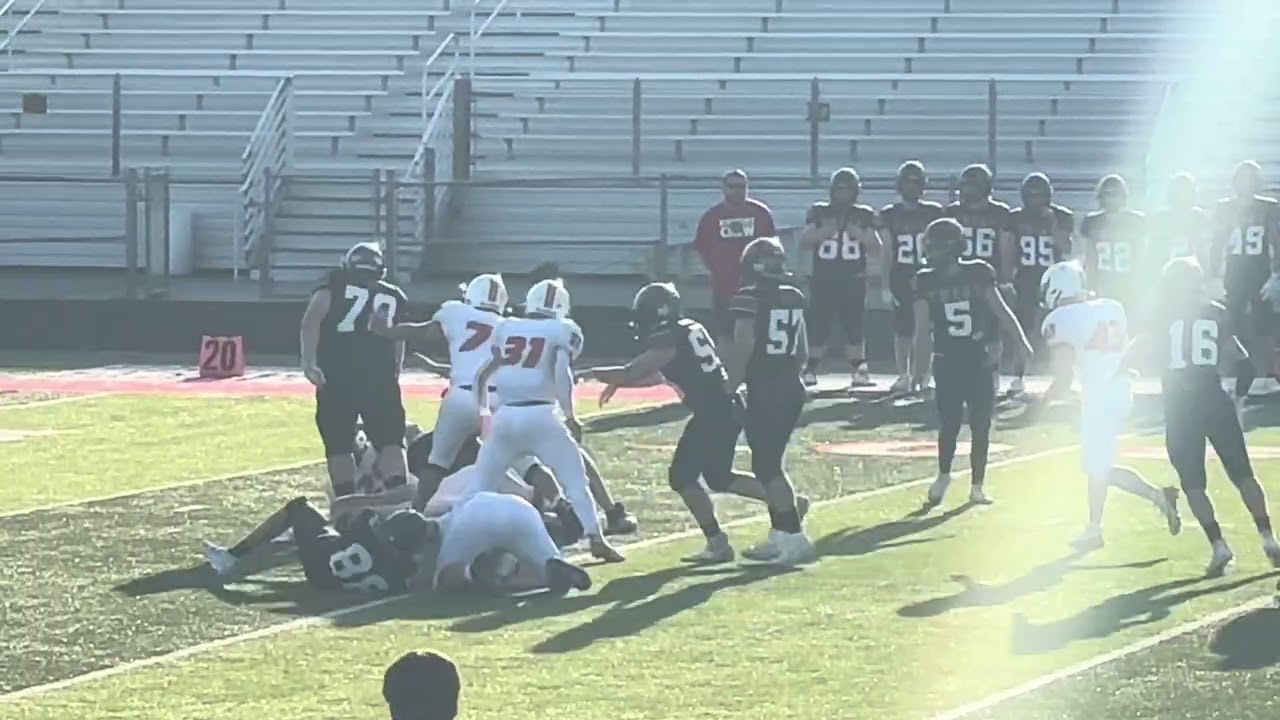 2025 Season Highlights