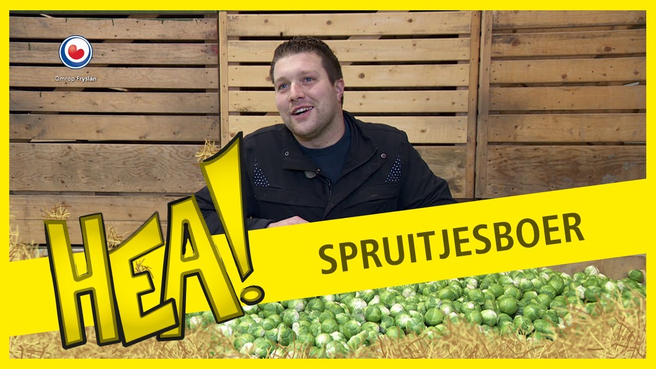HEA! Spruitjesboer Yde