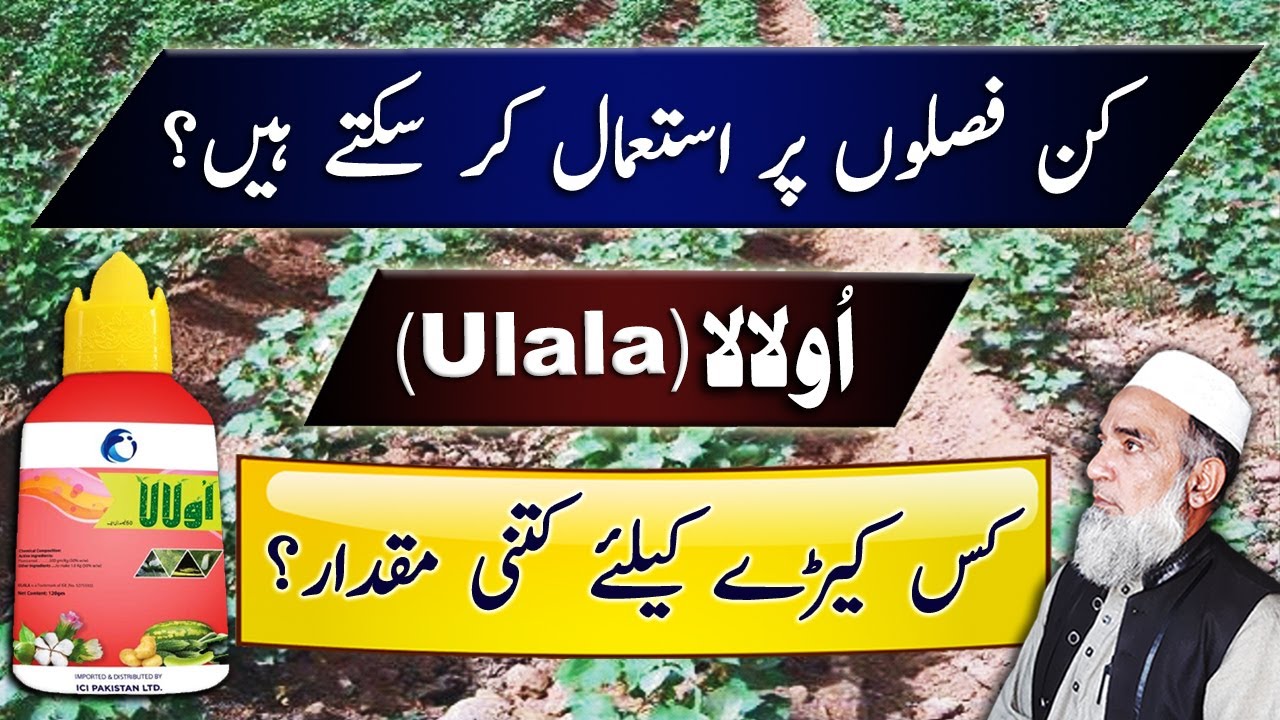 Usage specifications of Ulala in different crops | Crop Reformer
