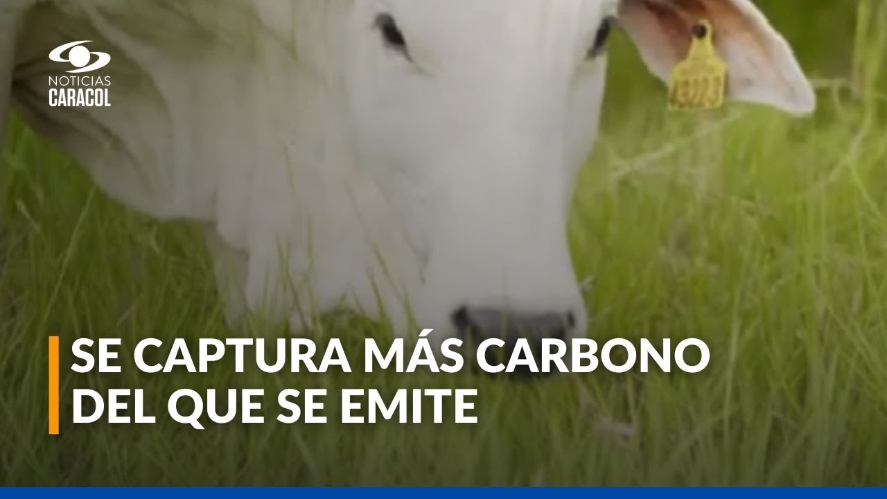En una hacienda ganadera del Vichada ocurre un 'milagro' ambiental
