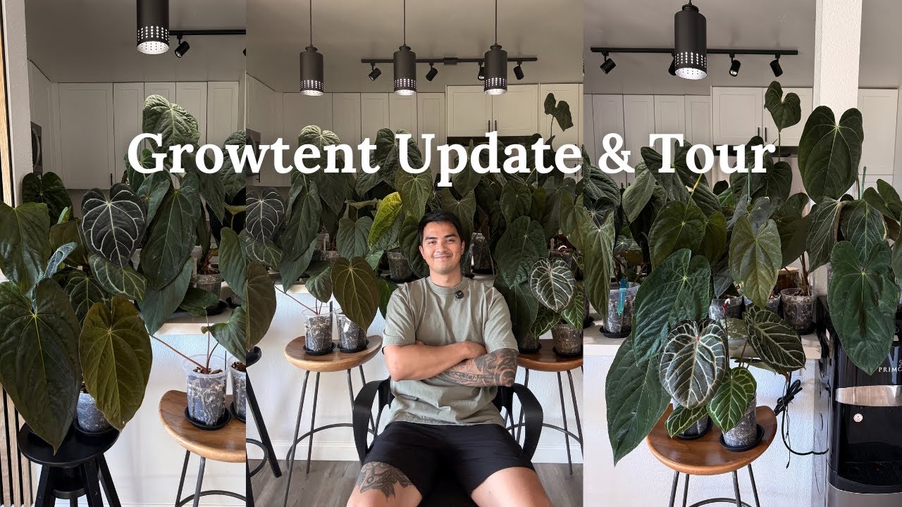 Grow Tent Update + Full Tour 🌱