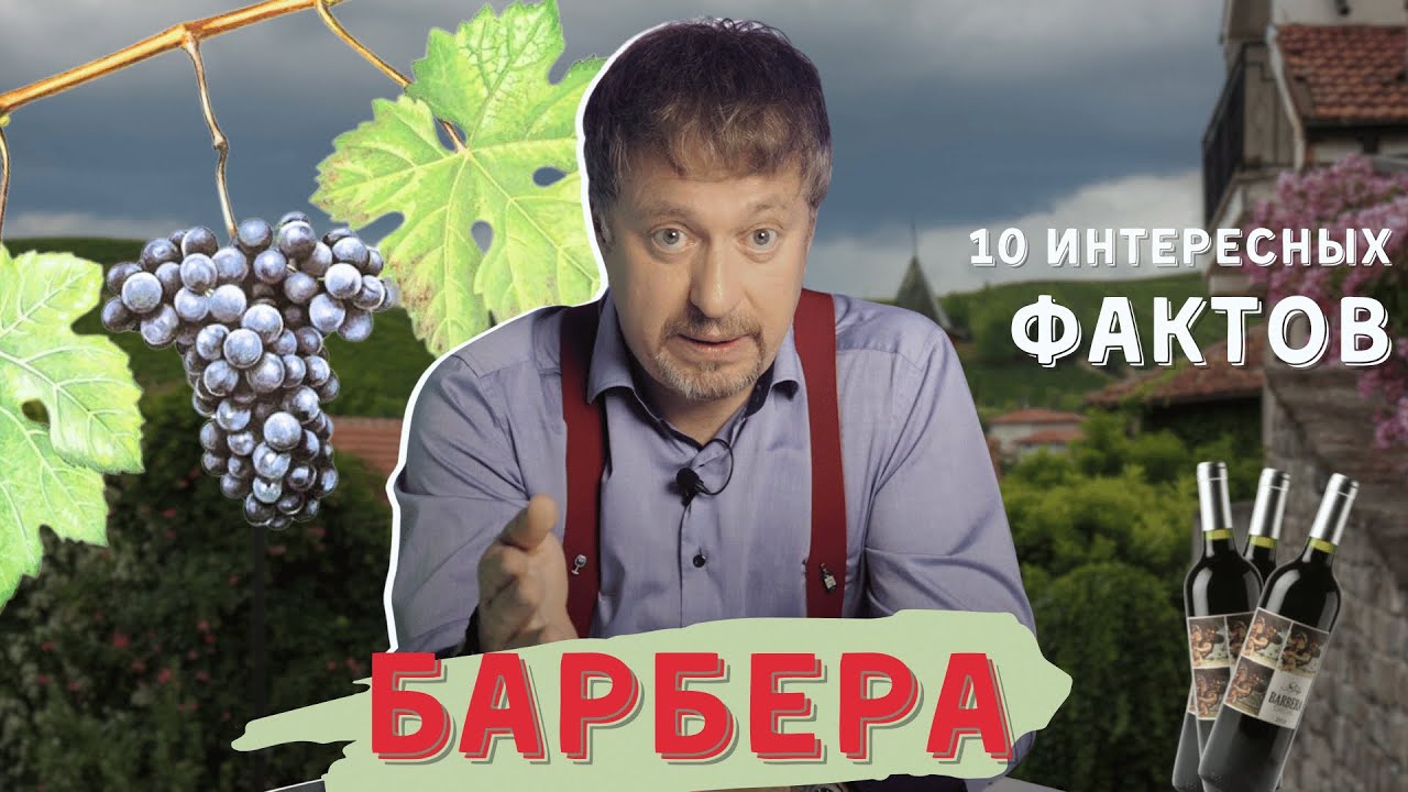 Сорт винограда [БАРБЕРА] - 10 интересных фактов