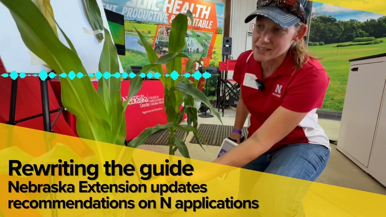 New Nebraska Extension guidelines: Why no fall nitrogen is the rule of the future