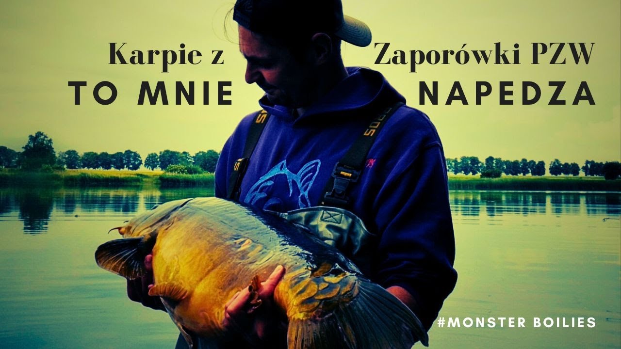 Karpie z Zaporówki PZW - To Mnie Napędza