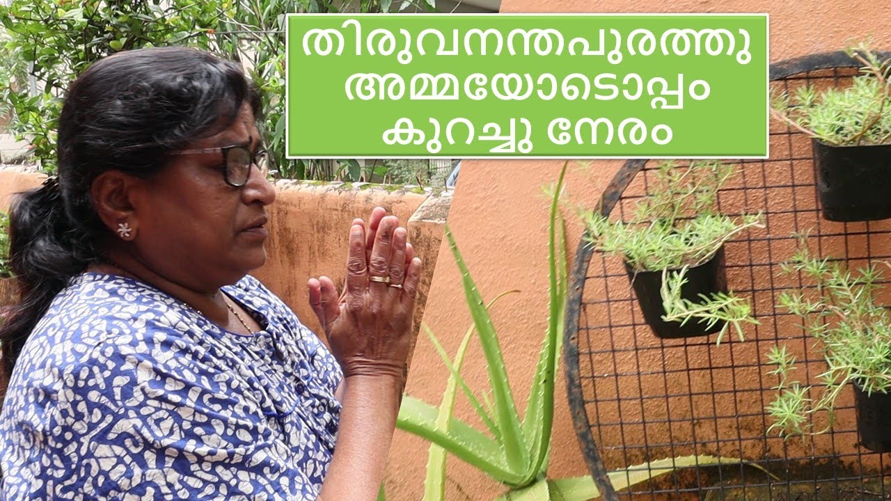 അമ്മയോടൊപ്പം കുറച്ചു നേരം /  A day with Amma