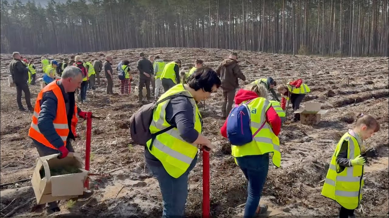 Akcja Sadzimy Sosny – Xella Polska / Let’s Plant Pines Campaign – Xella Polska