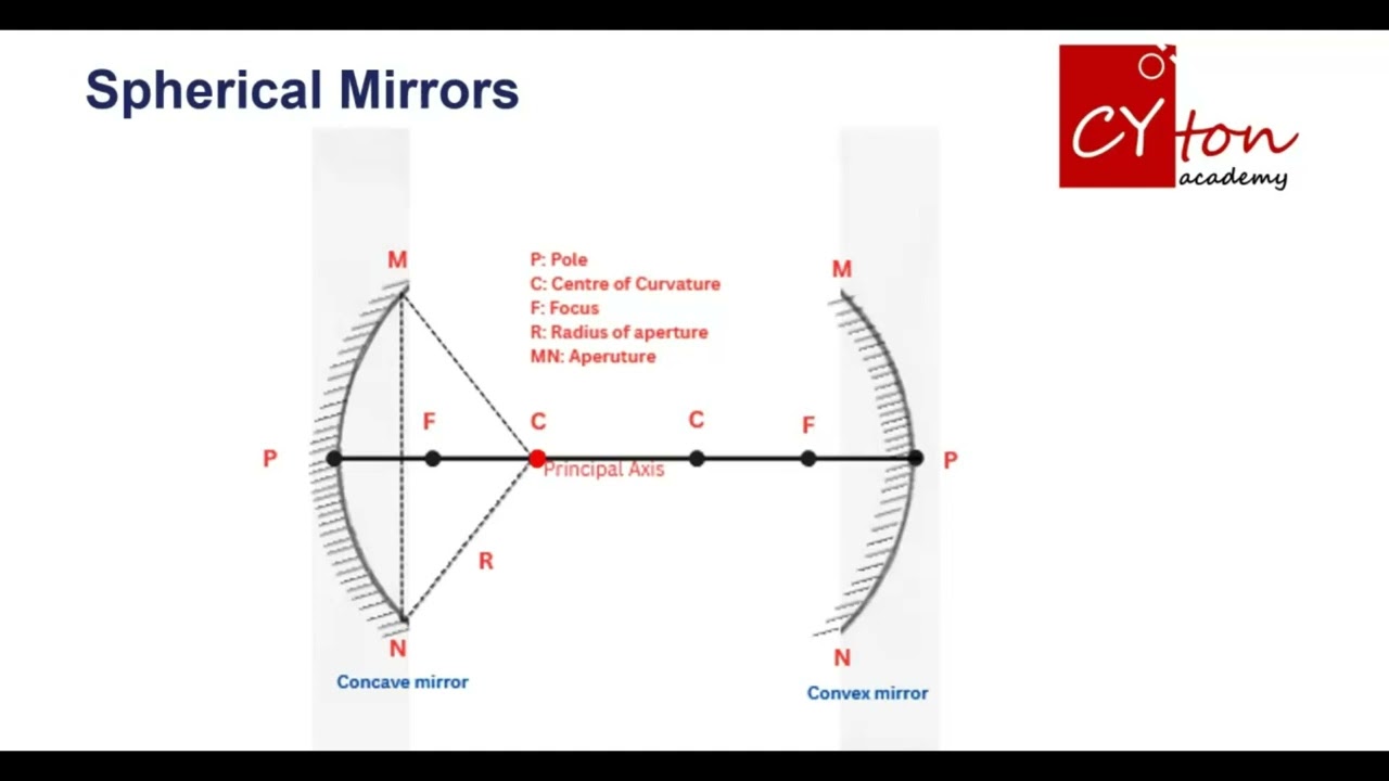 Spherical mirrors: Concave and convex | Class 10 Physics | Easy Concept Explanation