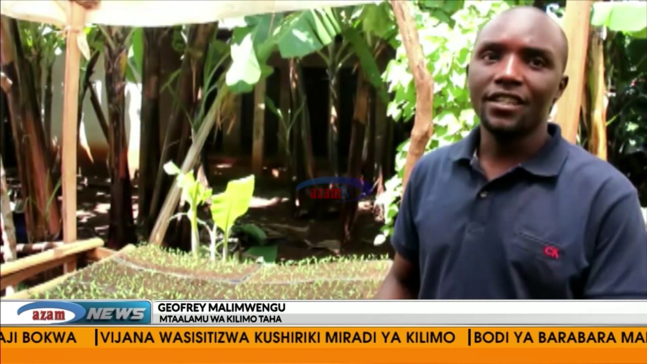 Ugonjwa wa 'Kata Kiuno' wazua hofu Babati