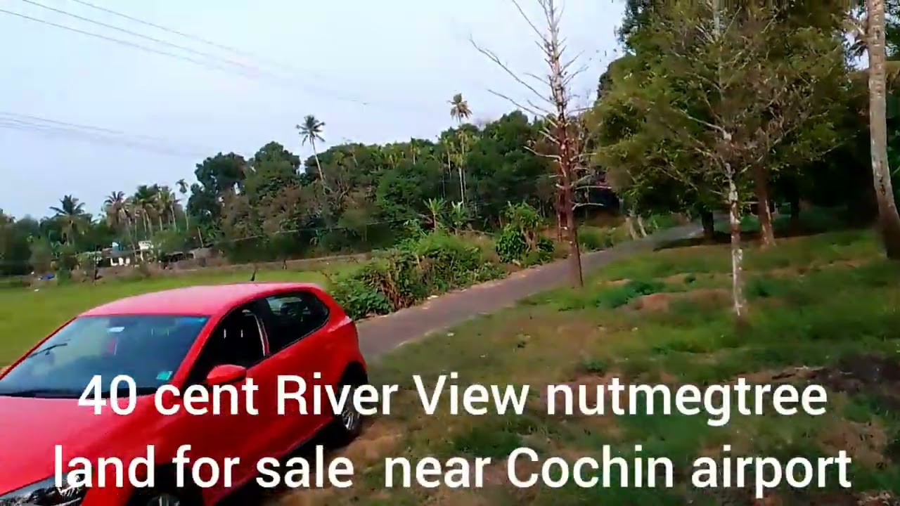 40 cent River View nutmegtree land for sale near Cochin airport