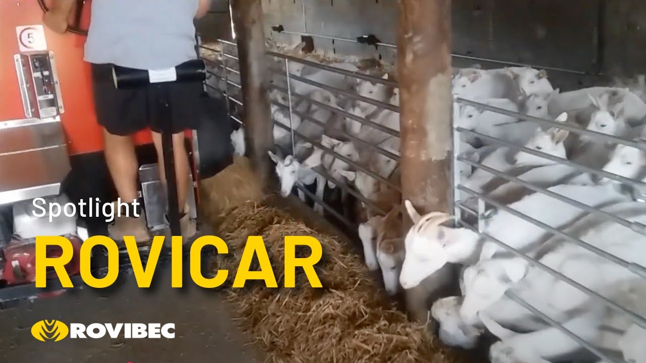 Le Rovicar alimentant des chèvres | Rovibec
