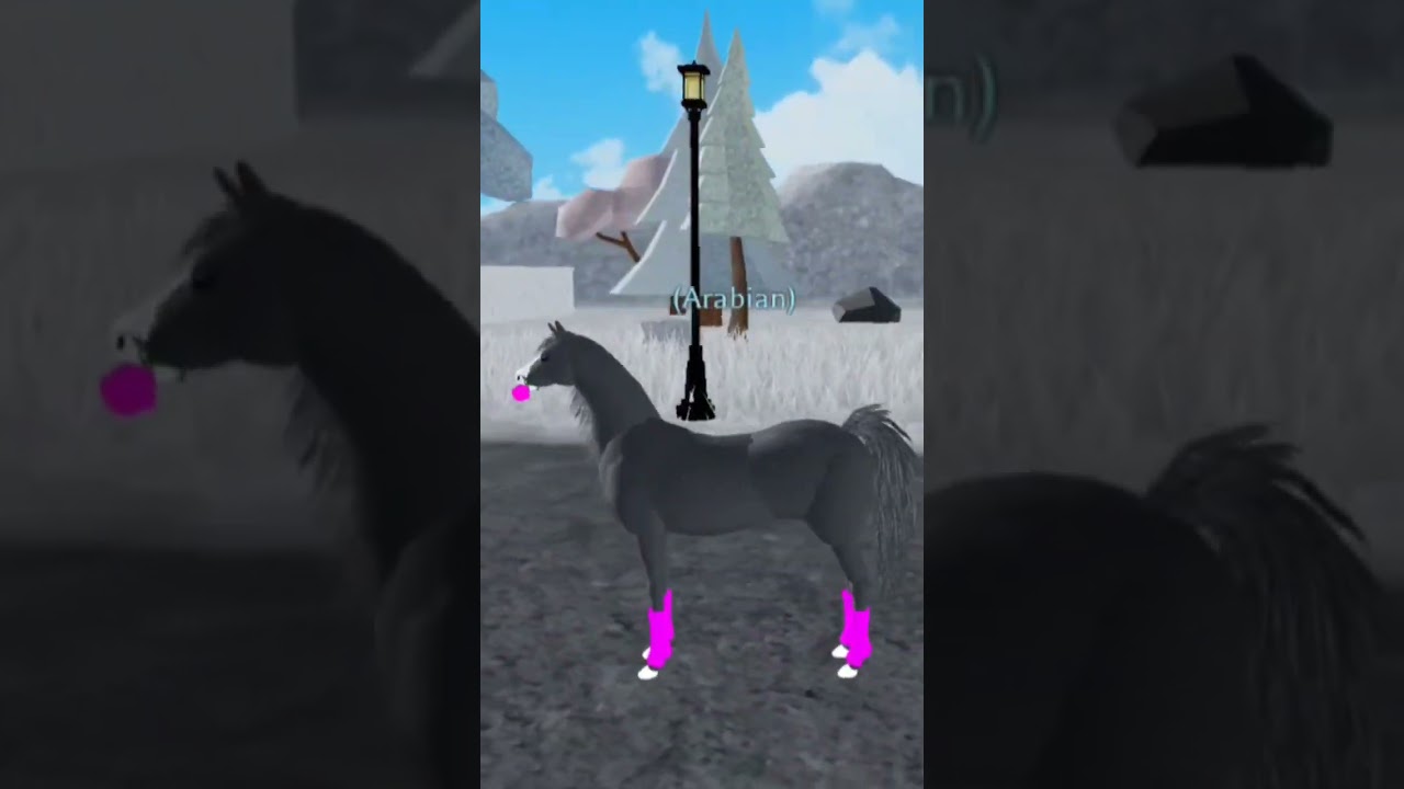 Rate my horse world morphs part 2 #roblox #happynewyear #horseworld
