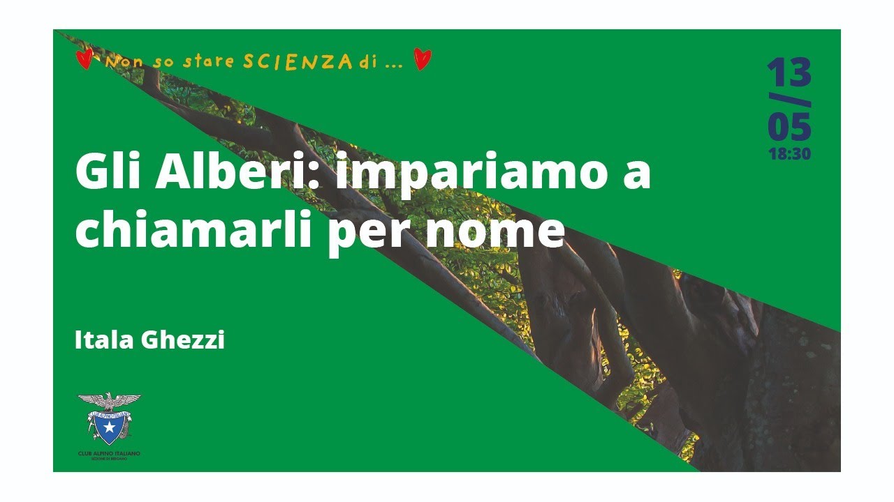 Gli Alberi: impariamo a chiamarli per nome.